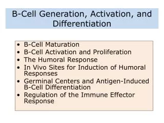 B-Cell Generation, Activation, and Differentiation