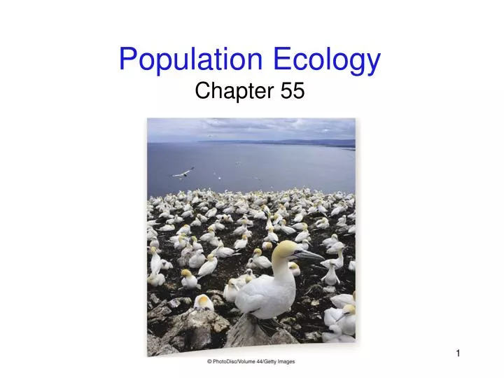 population ecology chapter 55