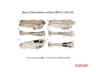 Y-N Lee et al. Nature 000 , 1-4 (2014) doi:10.1038/nature13874