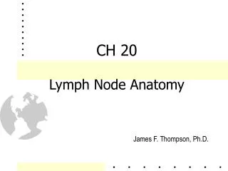 CH 20 Lymph Node Anatomy