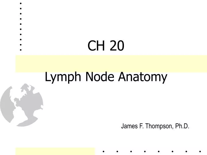 ch 20 lymph node anatomy