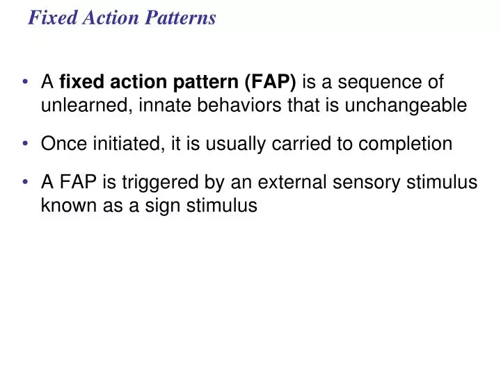 fixed action patterns