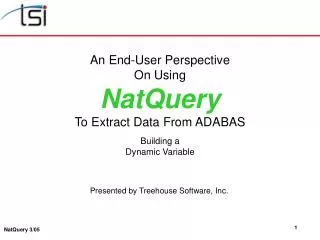 An End-User Perspective On Using NatQuery To Extract Data From ADABAS Building a Dynamic Variable