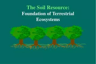 The Soil Resource: Foundation of Terrestrial Ecosystems
