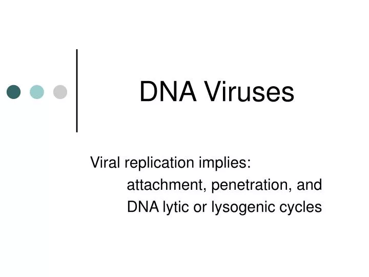 dna viruses