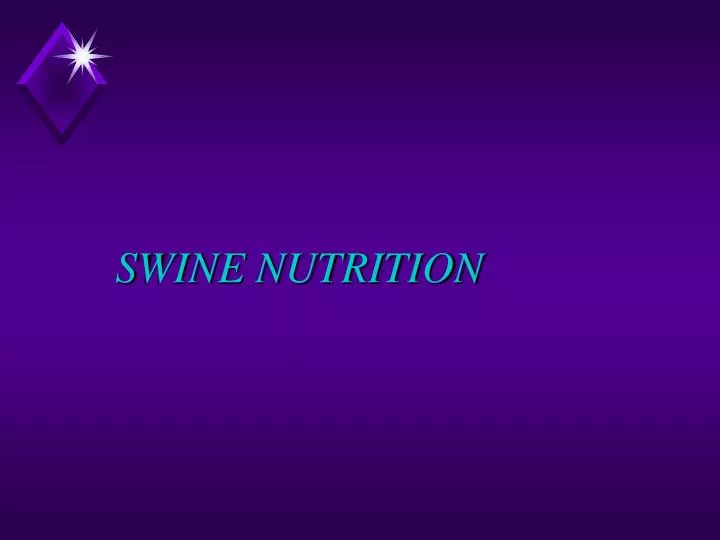 swine nutrition