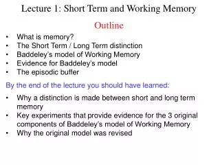 Lecture 1: Short Term and Working Memory Outline