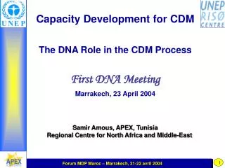 Capacity Development for CDM The DNA Role in the CDM Process First DNA Meeting