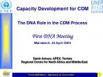 The Role of the DNA in the CDM Process: Insights from Marrakech, 2004 - slide 1