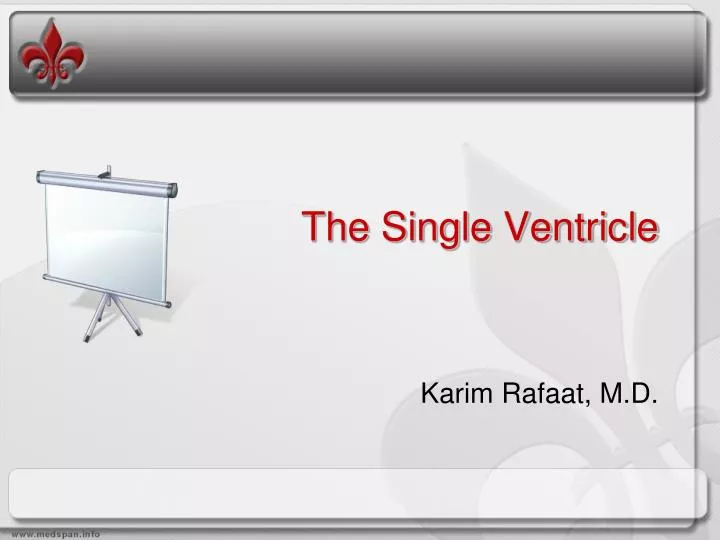 the single ventricle