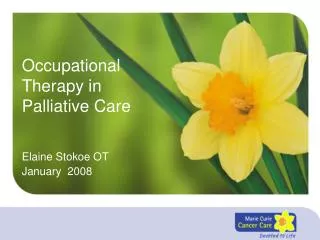 Occupational Therapy in Palliative Care