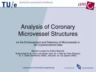 Analysis of Coronary Microvessel Structures