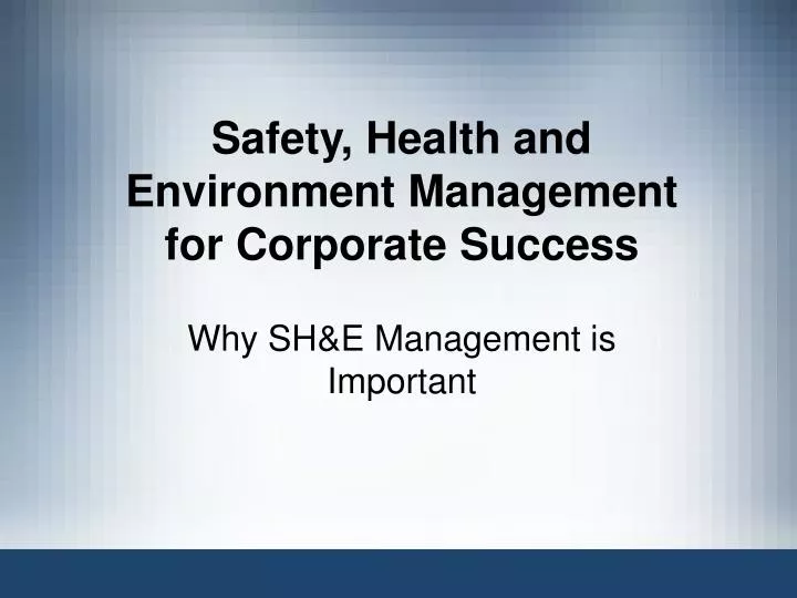 safety health and environment management for corporate success