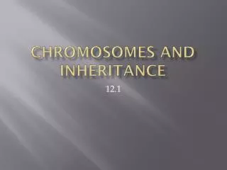 Chromosomes and Inheritance