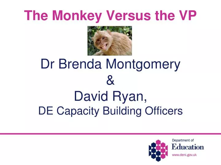 the monkey versus the vp dr brenda montgomery david ryan de capacity building officers