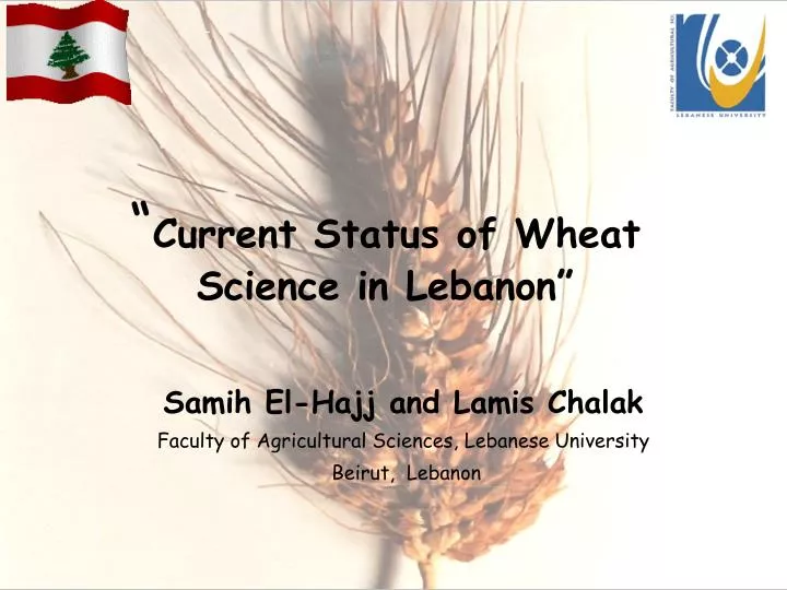 current status of wheat science in lebanon