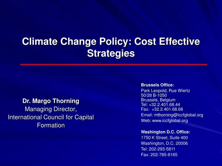 climate change policy cost effective strategies
