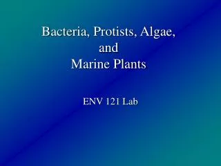 Bacteria, Protists, Algae, and Marine Plants
