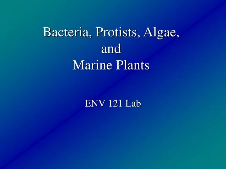 bacteria protists algae and marine plants
