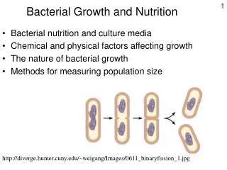 Bacterial Growth and Nutrition