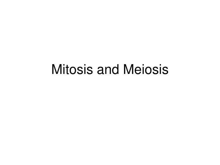 mitosis and meiosis