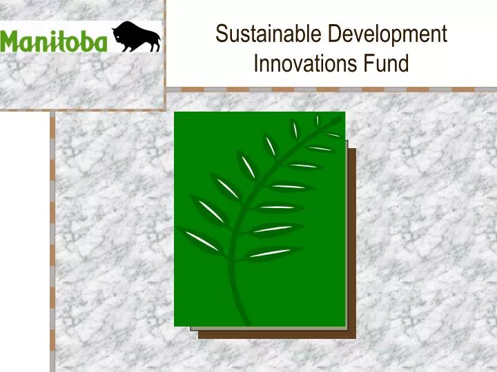 sustainable development innovations fund