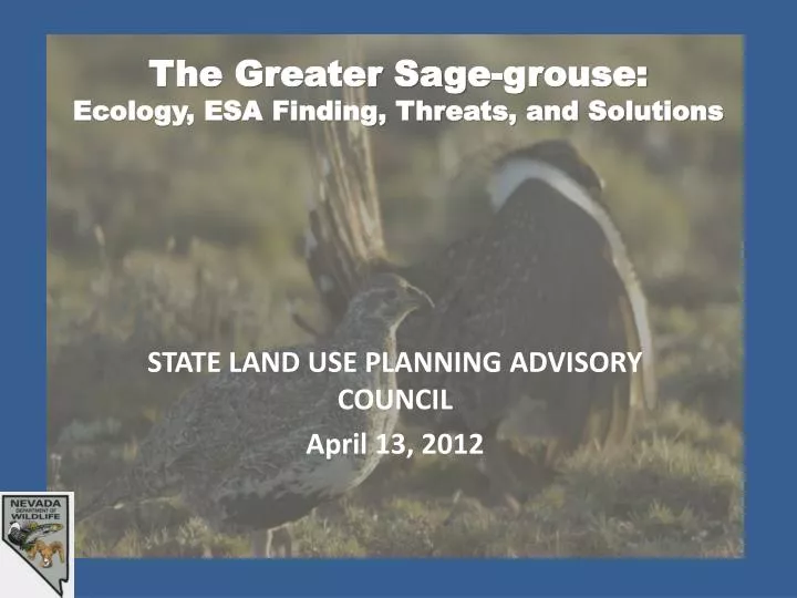 the greater sage grouse ecology esa finding threats and solutions