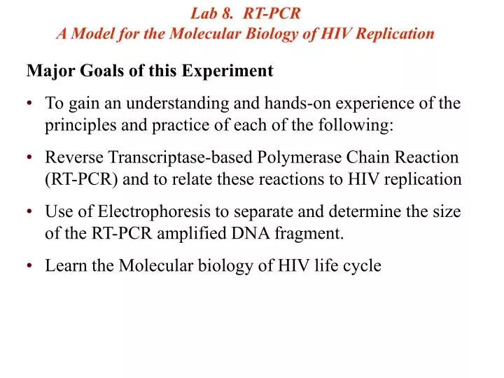 lab 8 rt pcr a model for the molecular biology of hiv replication