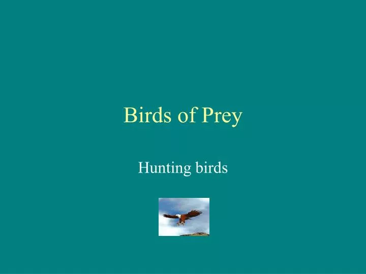 Birds of Prey (2023) #2 - Read Birds of Prey (2023) Issue #2 Page 15