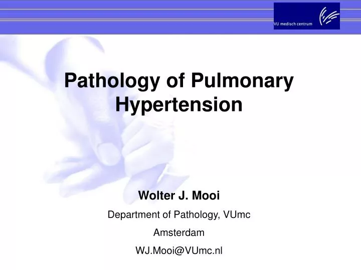 pulmonary arterial hypertension pathophysiology
