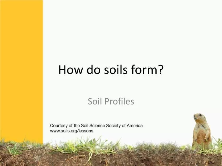 how do soils form