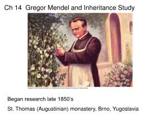 Ch 14 Gregor Mendel and Inheritance Study