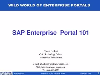 SAP Enterprise Portal 101