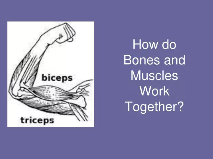 how do bones and muscles work together