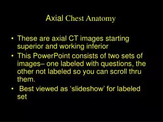 Axial Chest Anatomy