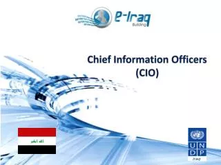 Chief Information Officers (CIO)