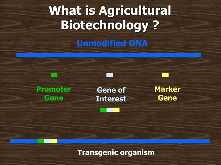 what is agricultural biotechnology