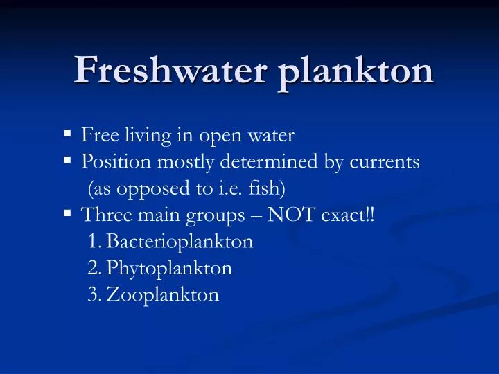 freshwater plankton