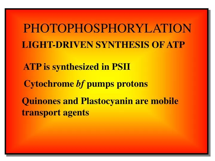 photophosphorylation