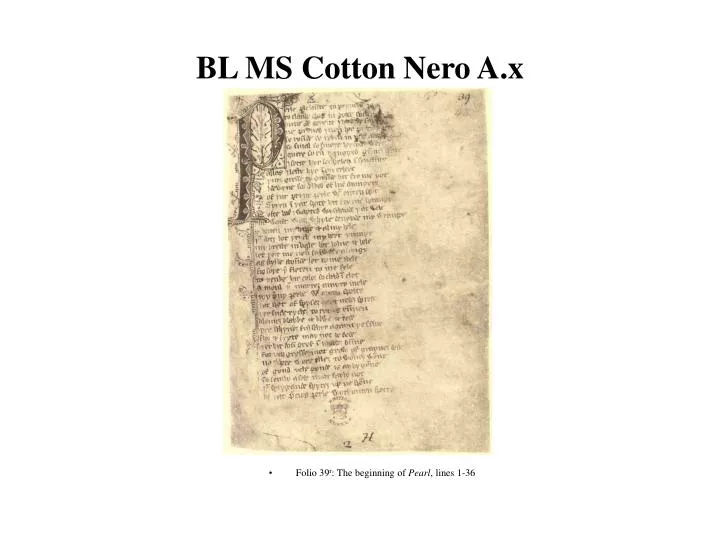 bl ms cotton nero a x