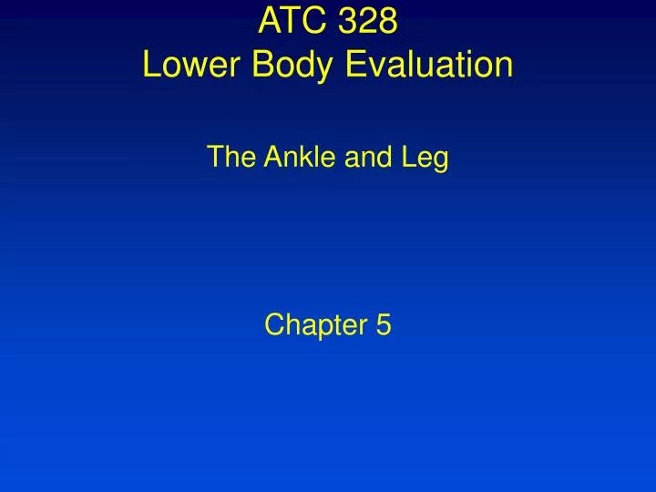 atc 328 lower body evaluation