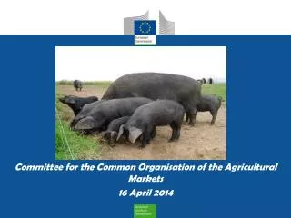 Committee for the Common Organisation of the Agricultural Markets 16 April 2014