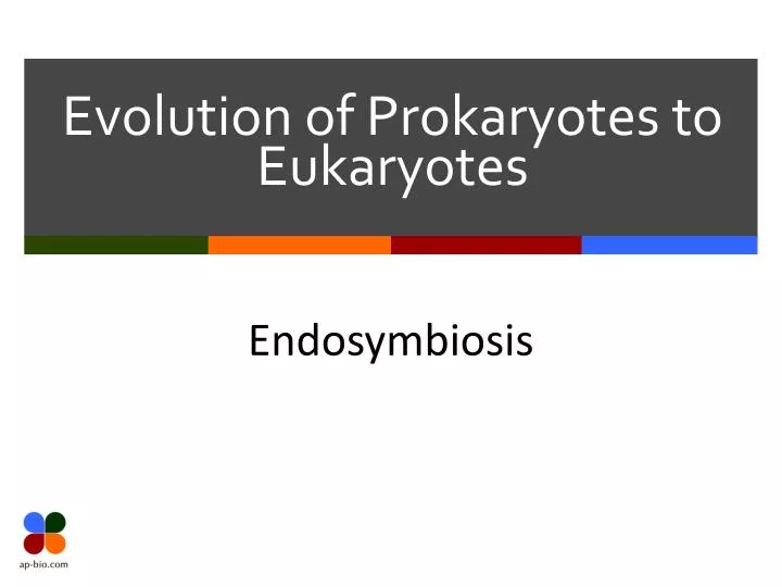 evolution of prokaryotes to eukaryotes