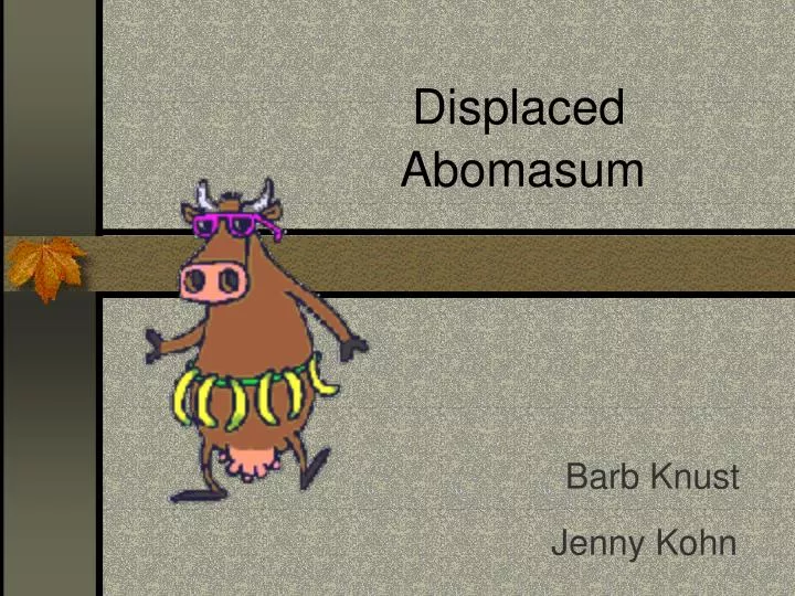 abomasum