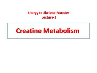 Creatine Metabolism