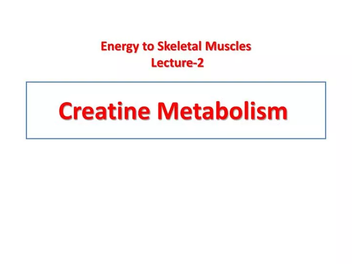 creatine metabolism