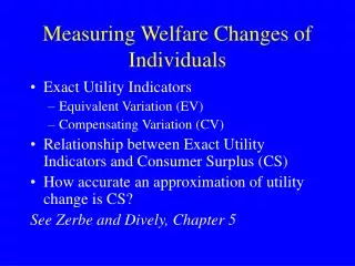 Measuring Welfare Changes of Individuals