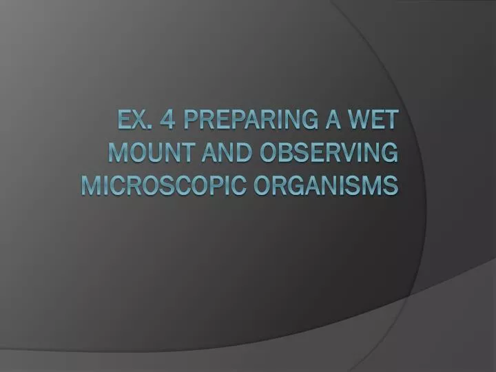ex 4 preparing a wet mount and observing microscopic organisms