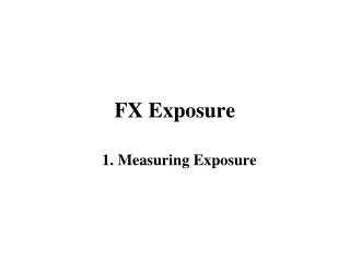 FX Exposure