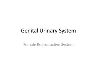 Genital Urinary System